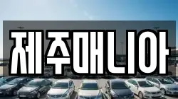 제주매니아