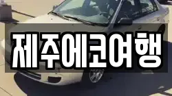 제주에코여행