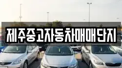 제주중고자동차매매단지