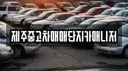 제주중고차매매단지카매니저