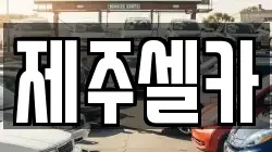 제주셀카