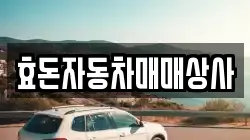 효돈자동차매매상사
