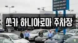 제주 서귀포시 서귀동 렌트카,단기렌트카,장기렌트카,중고차,중고차매매,중고차매입