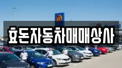 제주 서귀포시 신효동 렌트카,단기렌트카,장기렌트카,중고차,중고차매매,중고차매입
