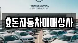 효돈자동차매매상사