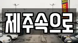 제주속으로