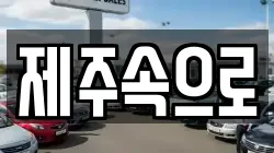 제주속으로