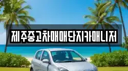 제주중고차매매단지카매니저