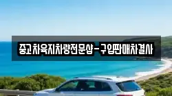 중고차육지차량전문샵-구입판매차결사