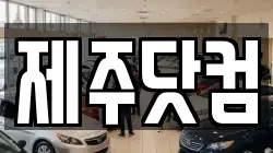 제주닷컴