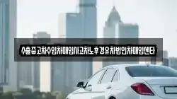 제주 제주시 도련이동 렌트카,단기렌트카,장기렌트카,중고차,중고차매매,중고차매입