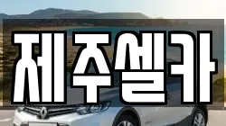제주셀카