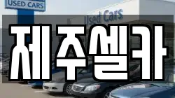 제주셀카