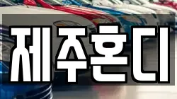 제주혼디