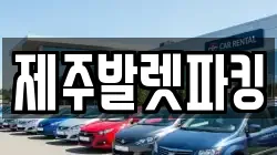 제주발렛파킹