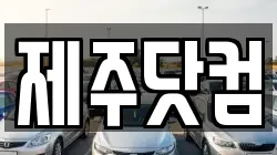 제주닷컴