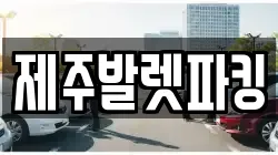 제주발렛파킹