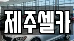 제주셀카
