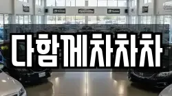 다함께차차차