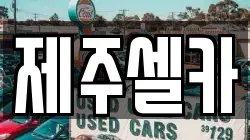 제주셀카