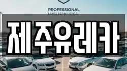 제주유레카