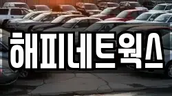 해피네트웍스
