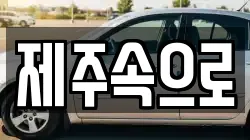제주 제주시 용담일동 렌트카,단기렌트카,장기렌트카,중고차,중고차매매,중고차매입