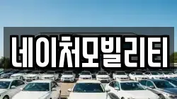 네이처모빌리티