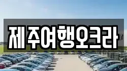제주 제주시 월평동 렌트카,단기렌트카,장기렌트카,중고차,중고차매매,중고차매입