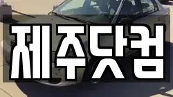 제주닷컴