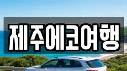 제주에코여행