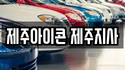 제주아이콘 제주지사