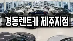 제주 제주시 이호일동 렌트카,단기렌트카,장기렌트카,중고차,중고차매매,중고차매입