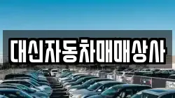 대신자동차매매상사