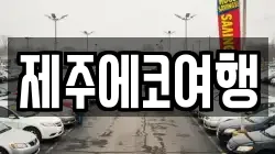 제주에코여행