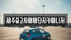 제주중고차매매단지카매니저