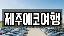 제주에코여행