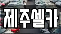 제주셀카