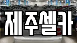 제주셀카