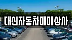 대신자동차매매상사