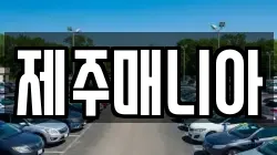 제주매니아