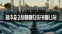제주중고차매매단지카매니저