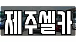 제주셀카