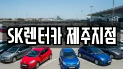 제주 제주시 렌트카,단기렌트카,장기렌트카,중고차,중고차매매,중고차매입
