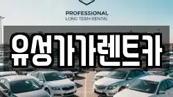 유성가가렌트카