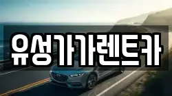 유성가가렌트카