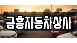 금흥자동차상사