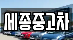 세종중고차