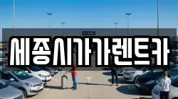세종시가가렌트카