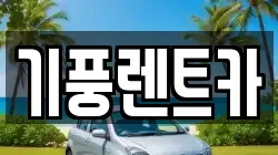 충남 공주시 소학동 렌트카,단기렌트카,장기렌트카,중고차,중고차매매,중고차매입